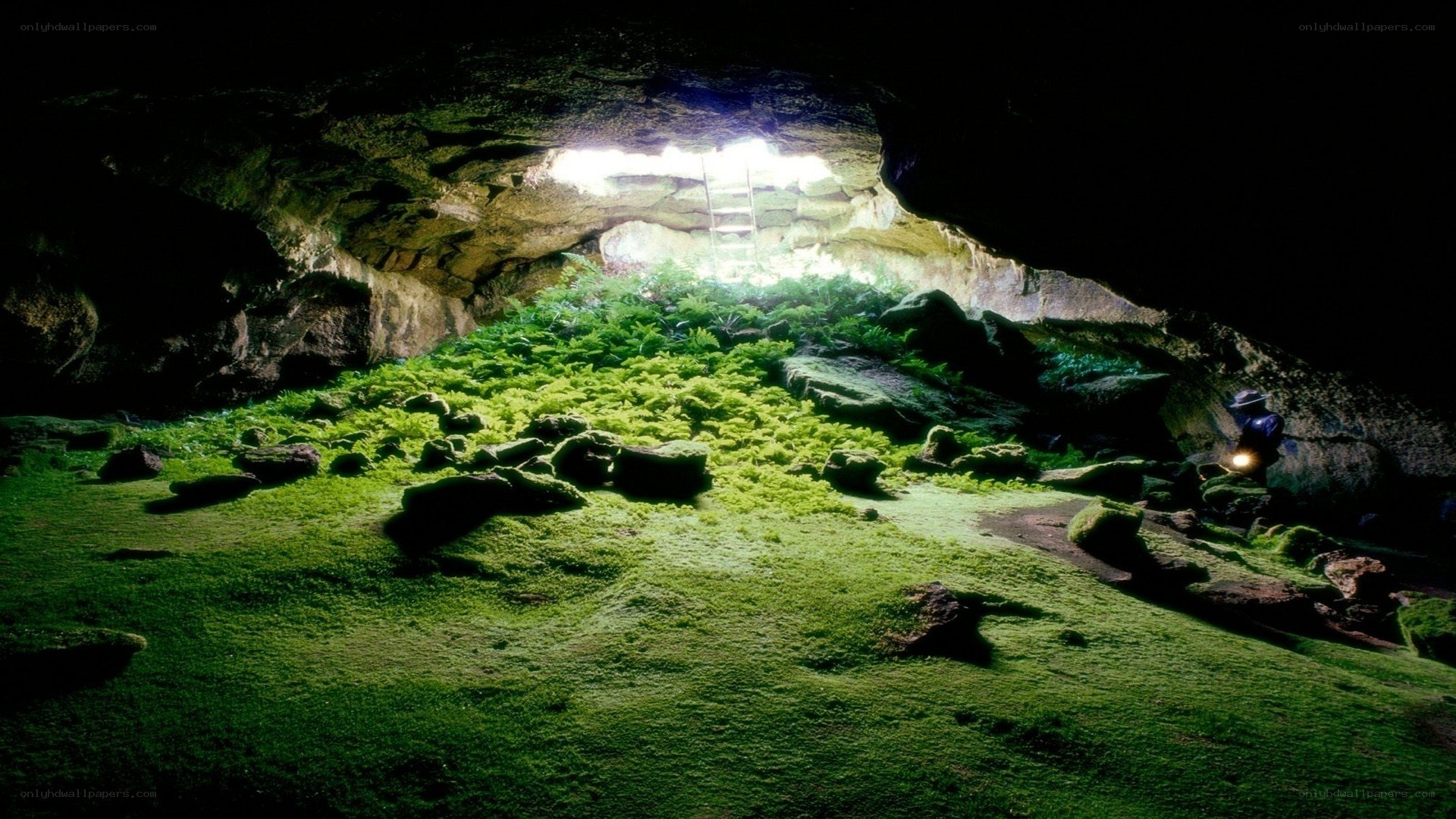 cave with lush green moss