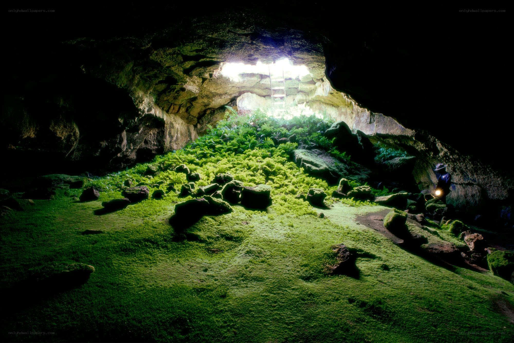 Cave with lush green moss