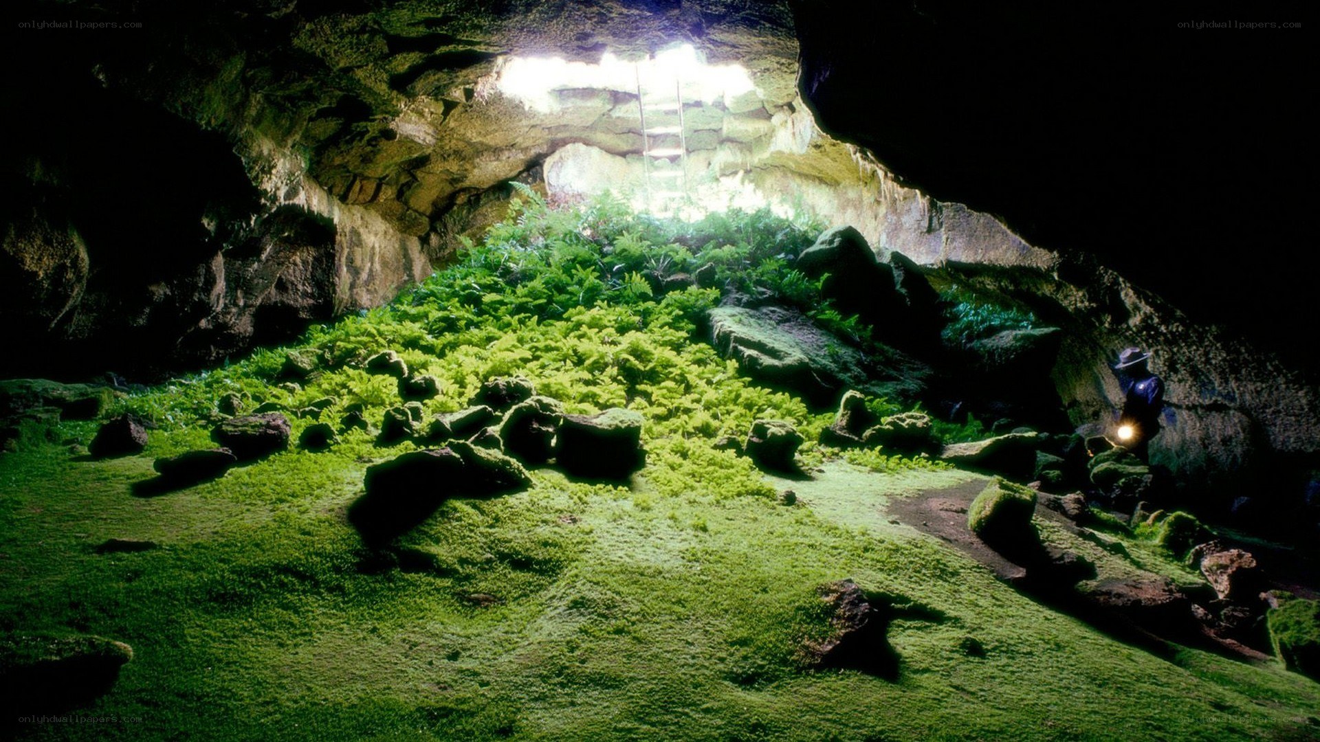 cave with lush green moss