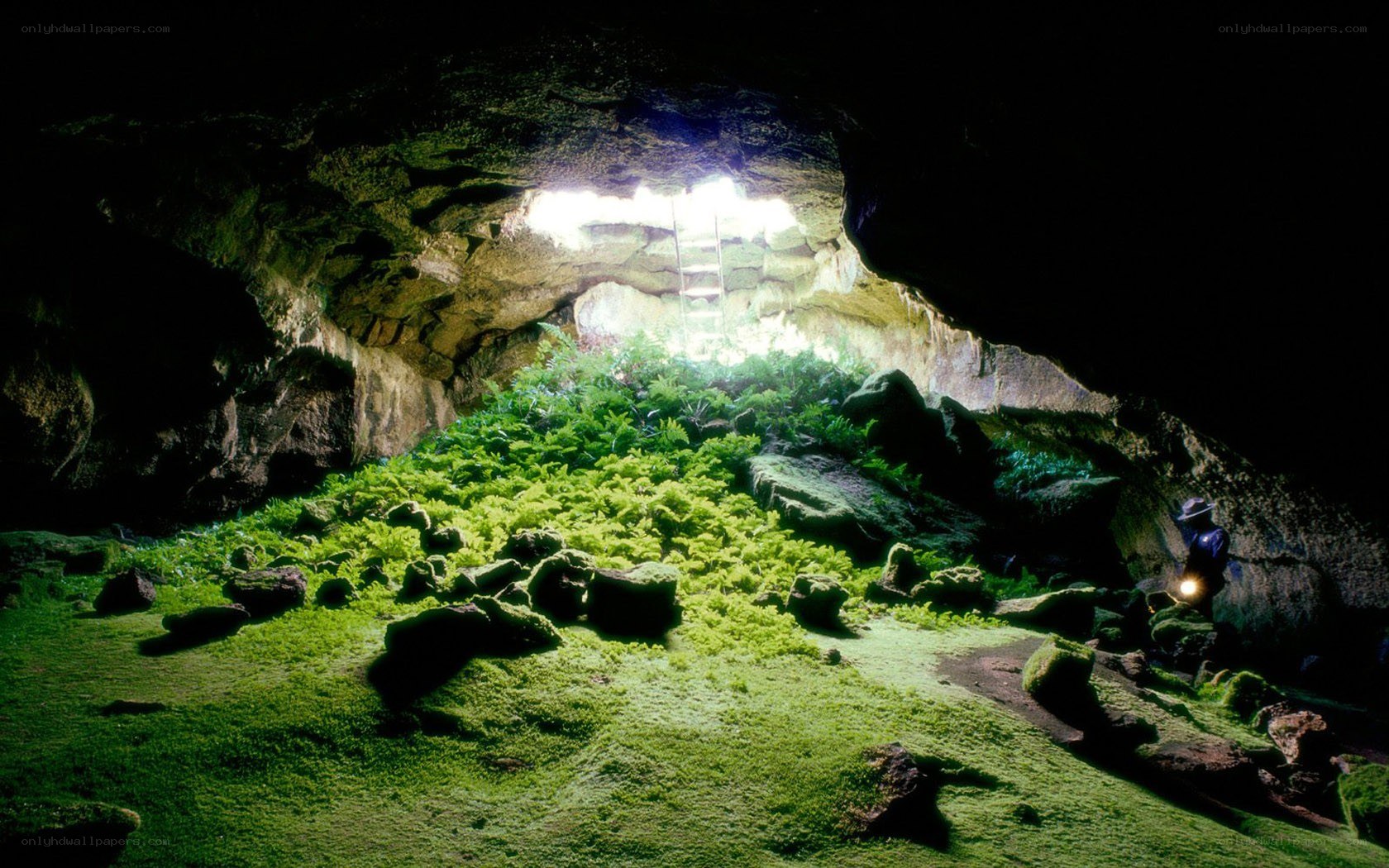 Cave with lush green moss