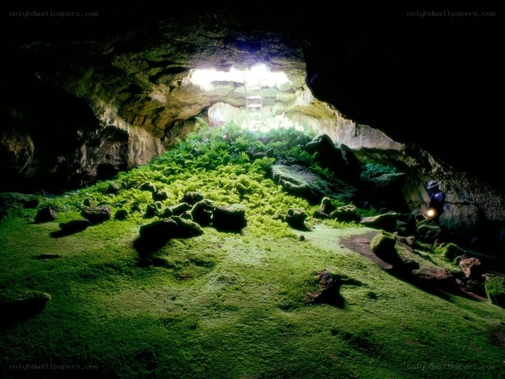 Cave with lush green moss