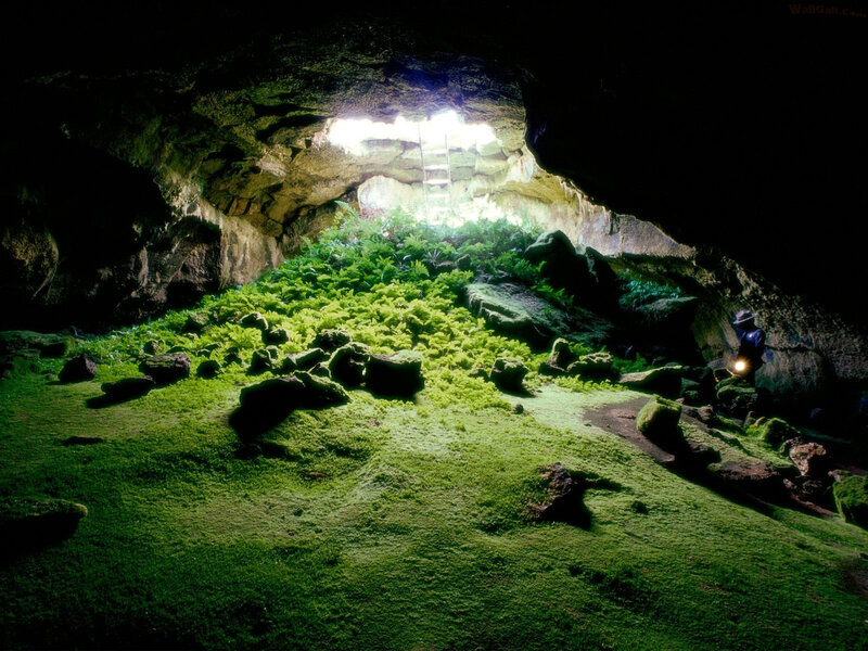 Cave with lush green moss