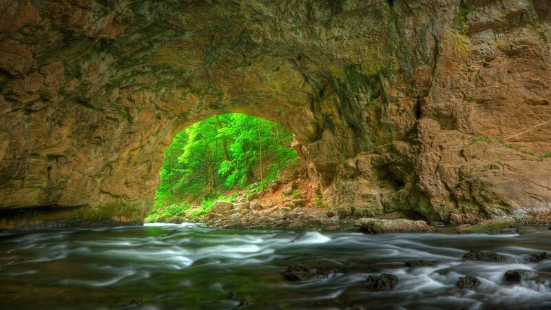 Cave with river and green forest