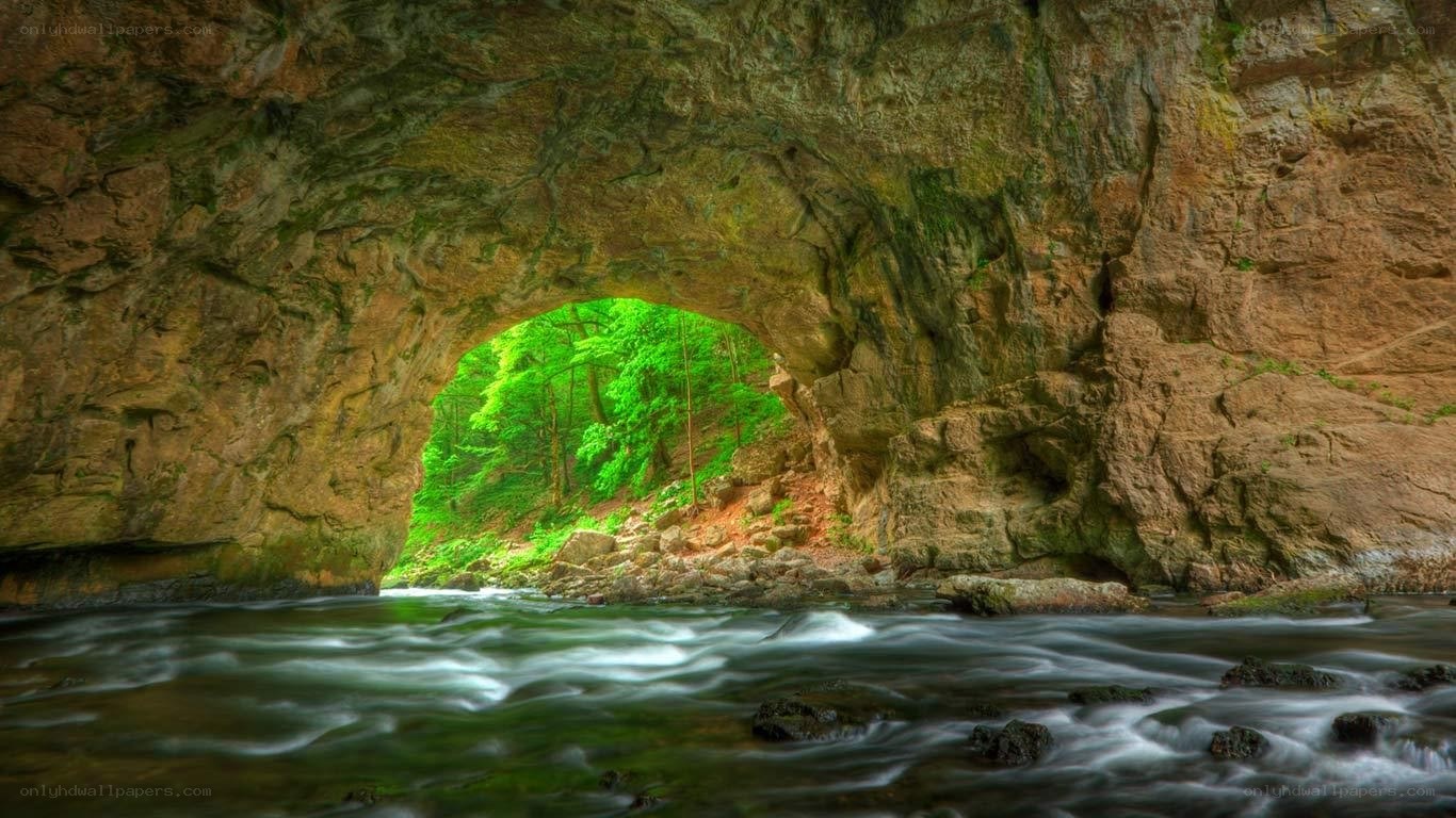 Cave with river and green forest