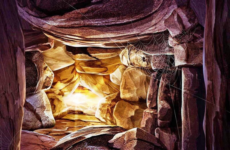 cave with spider web