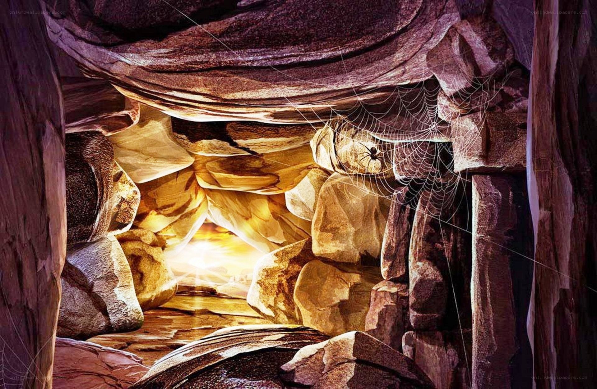 cave with spider web