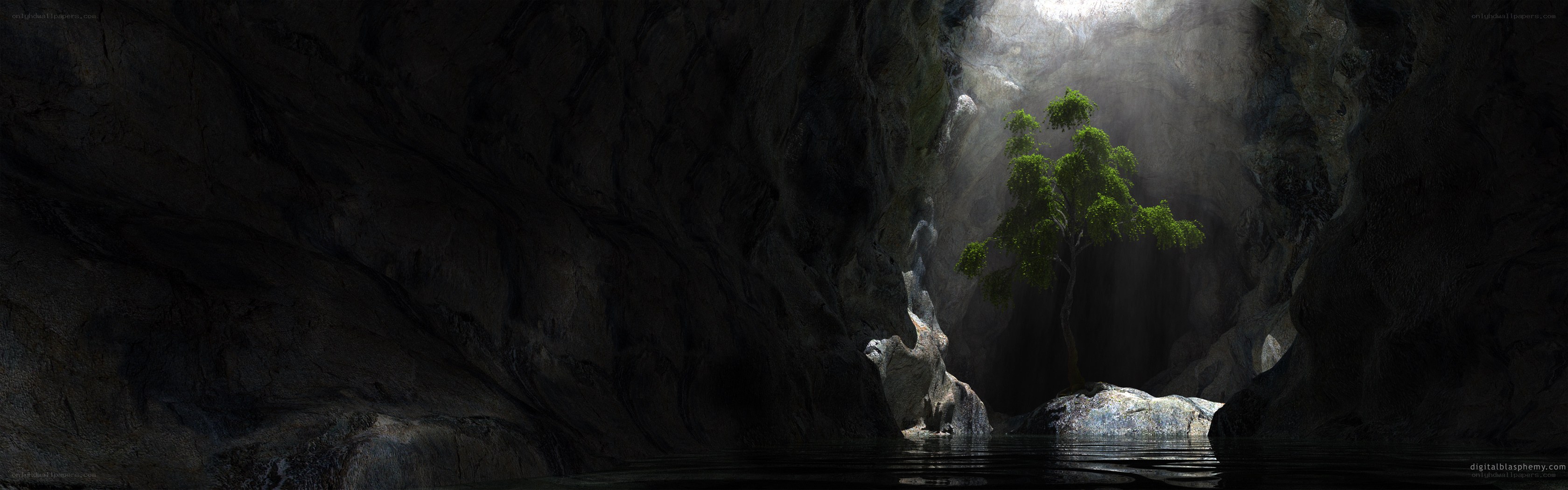 cave with tree and light