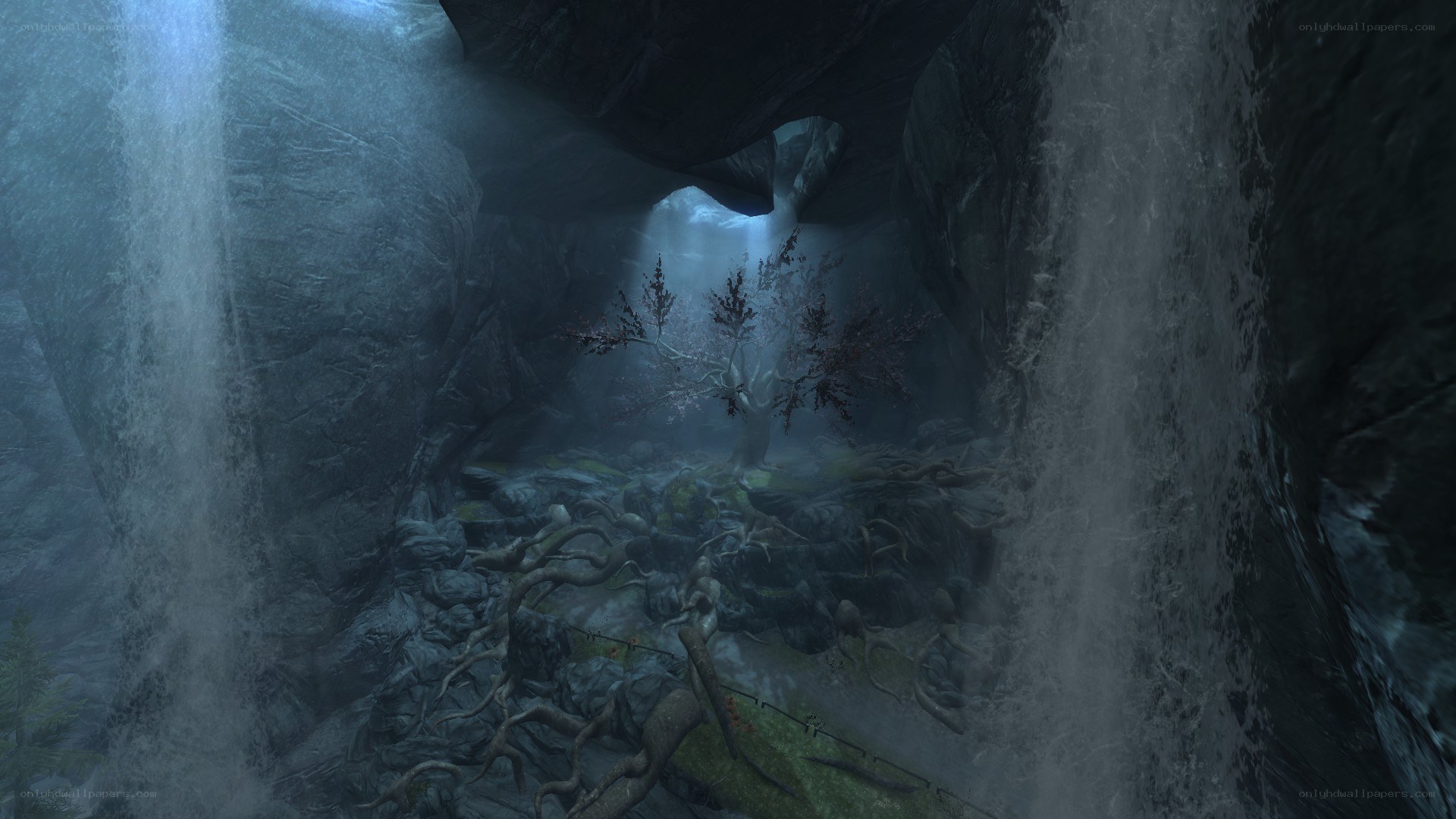 cave with waterfall and tree