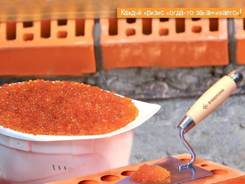 Caviar and trowel on bricks