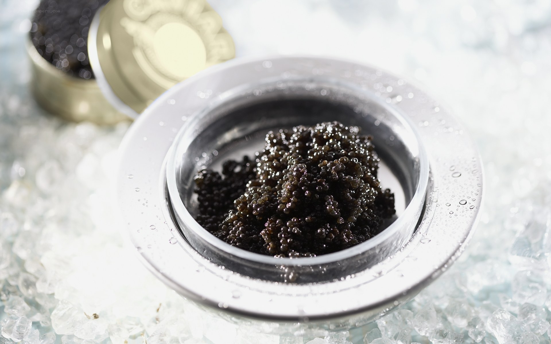 Caviar in a silver container