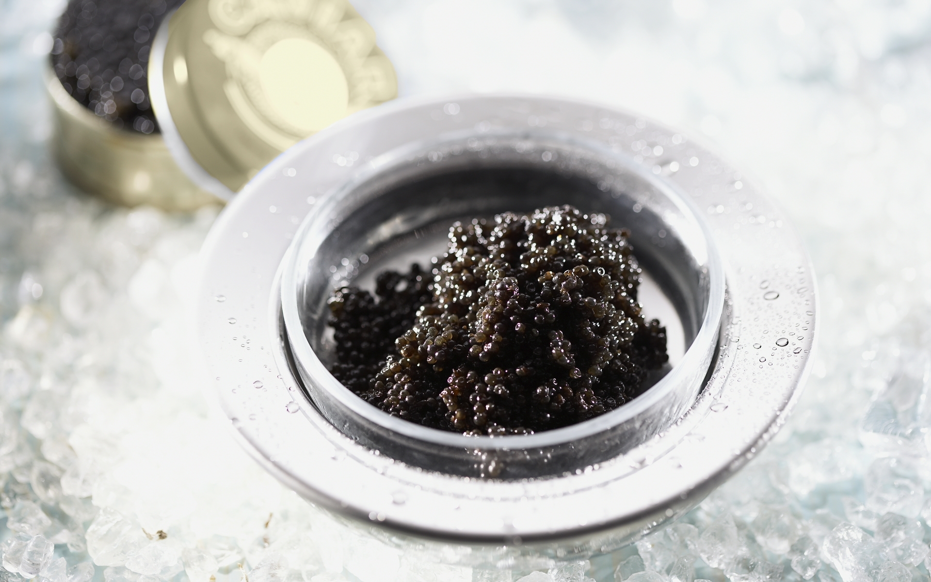 Caviar in a silver container