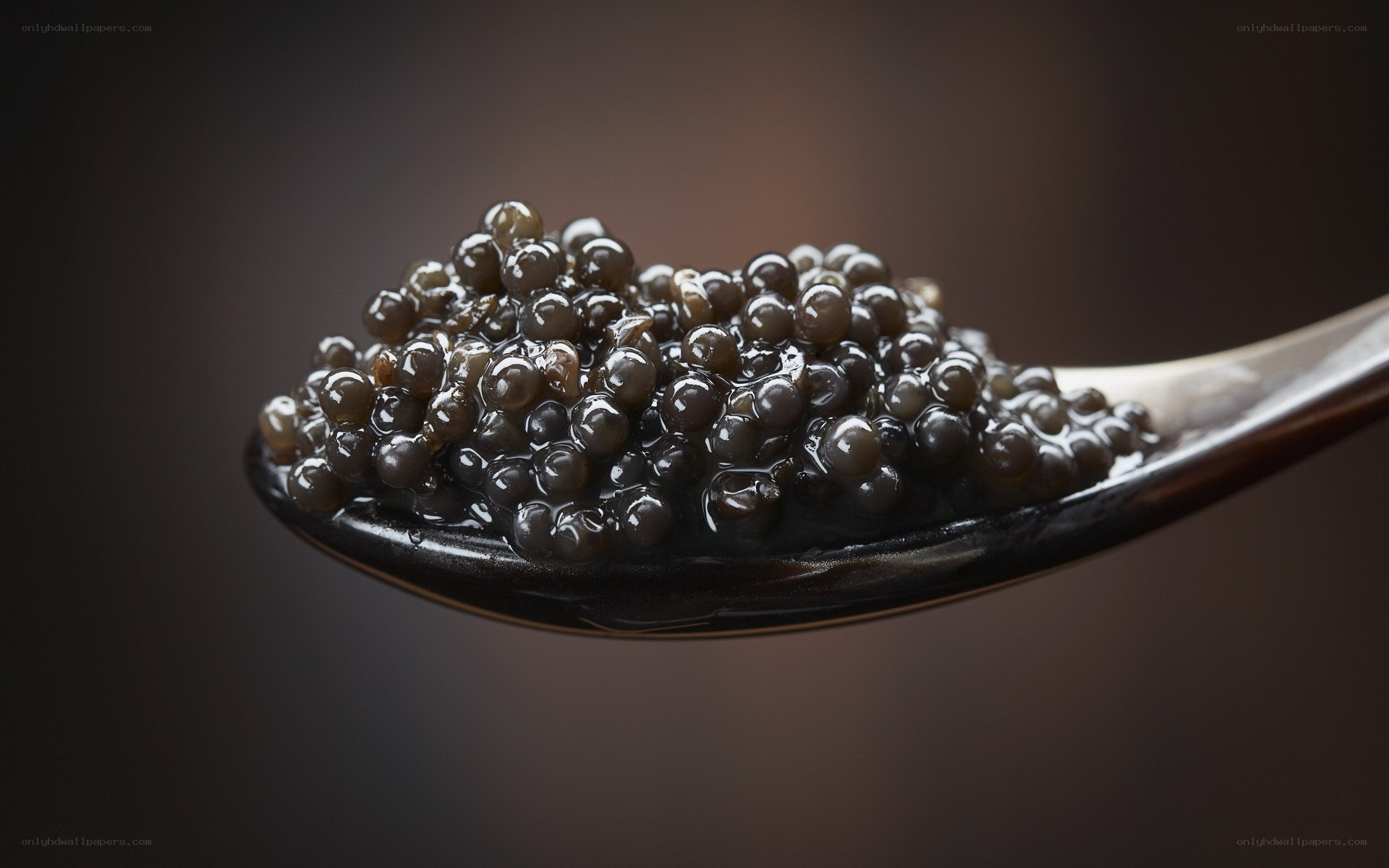 caviar on a spoon