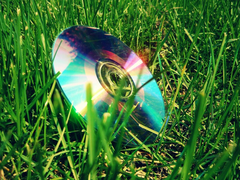 Cd in Grass
