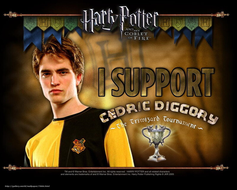 Cedric Diggory support