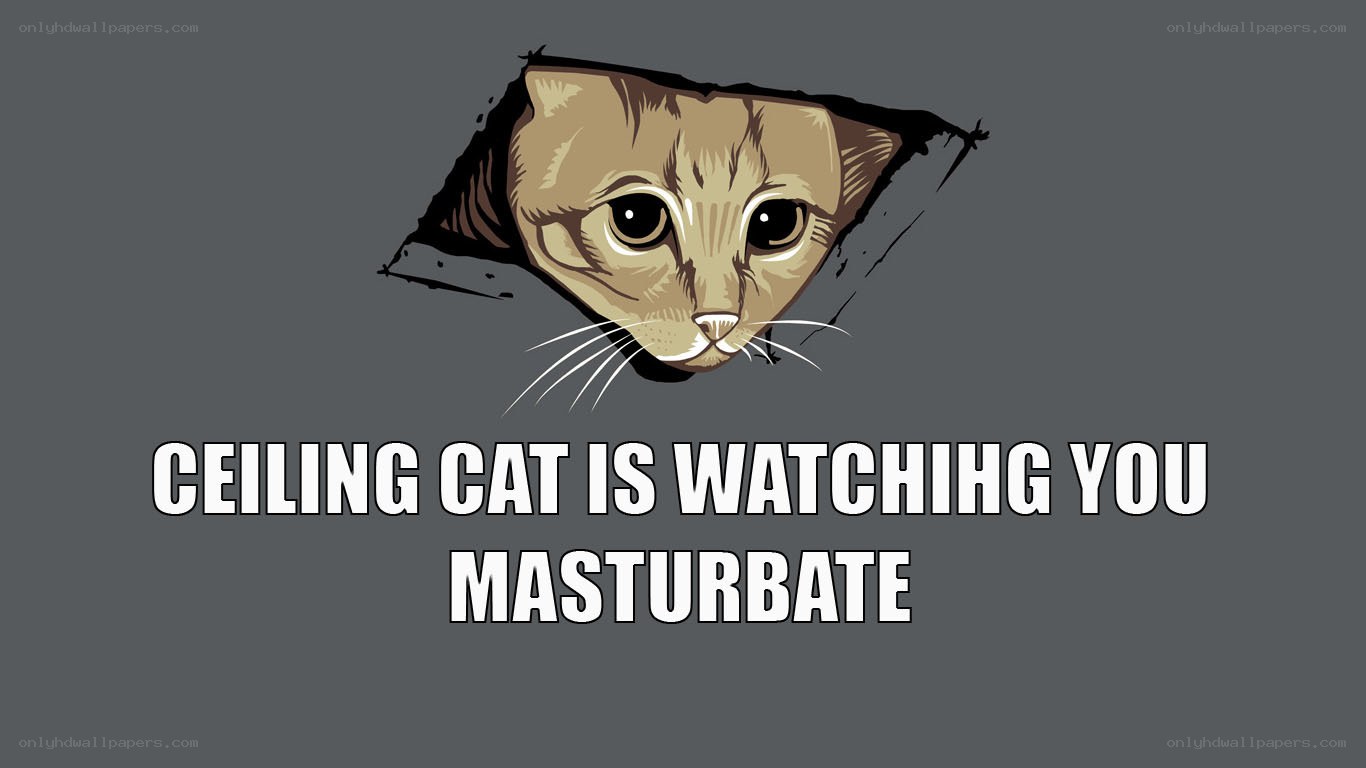 ceiling cat watching you masturbate