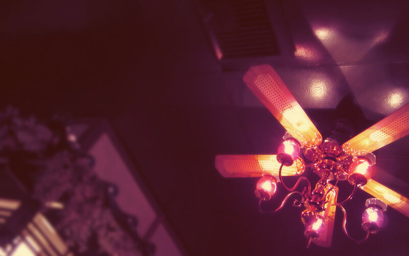 ceiling fan with lights