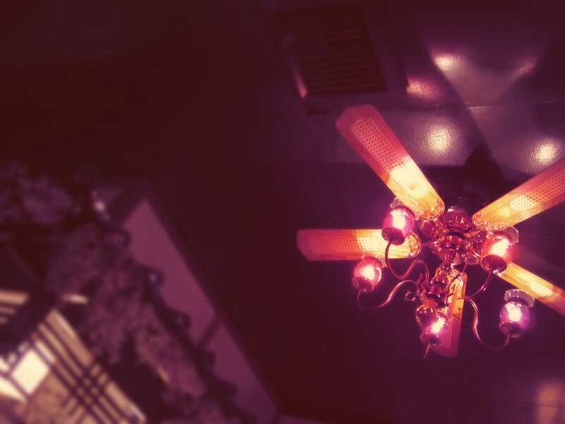 ceiling fan with lights