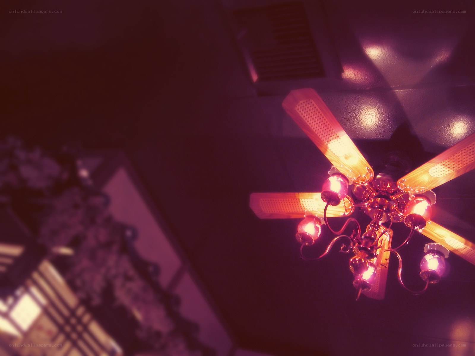 ceiling fan with lights