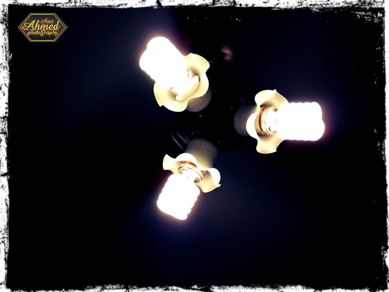 Ceiling light bulbs glowing