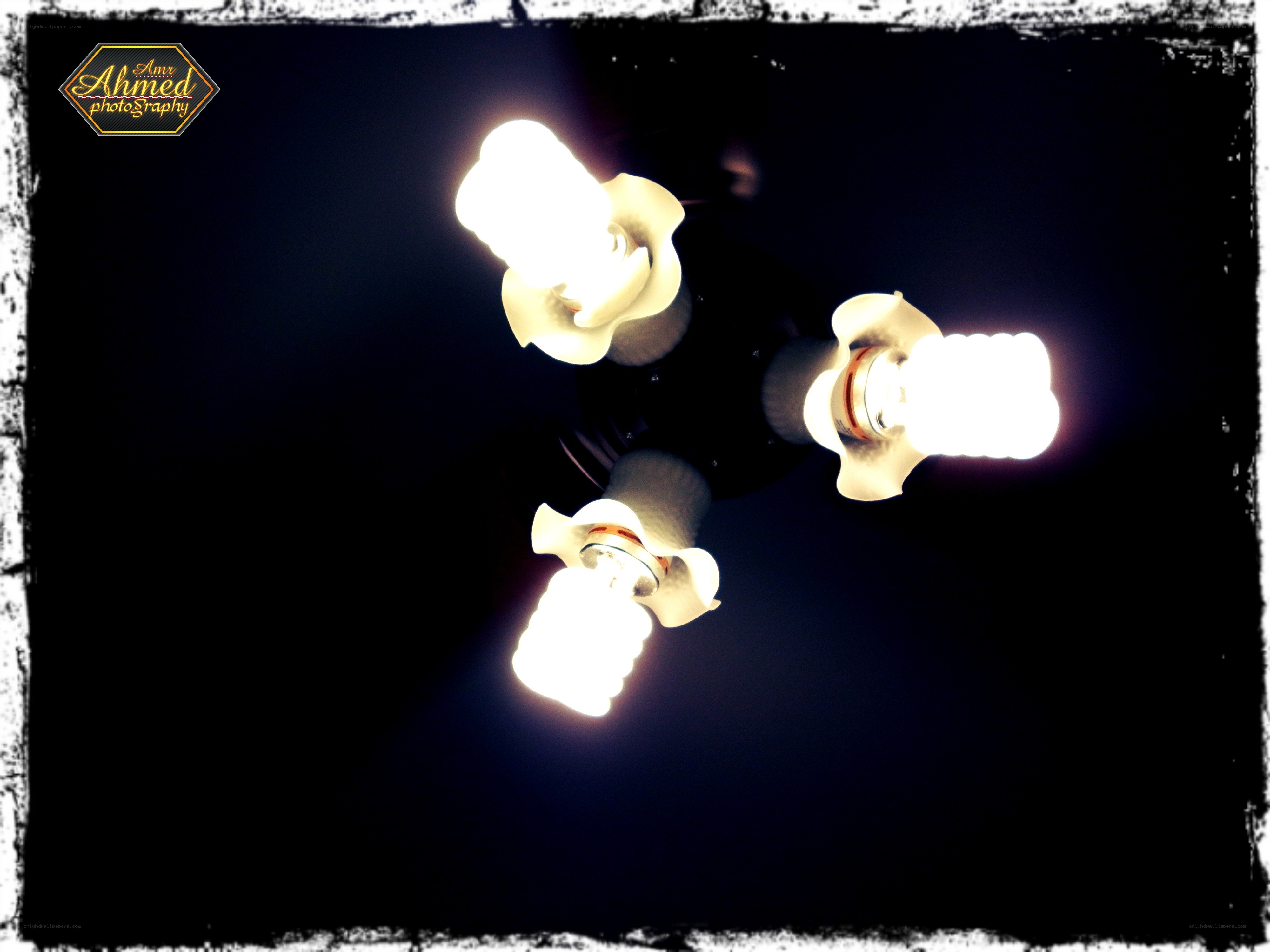 Ceiling light bulbs glowing