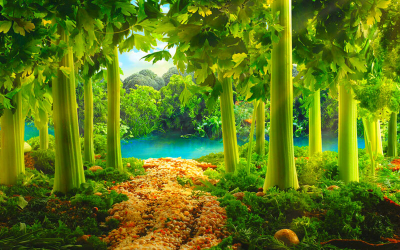 Celery Forest Path