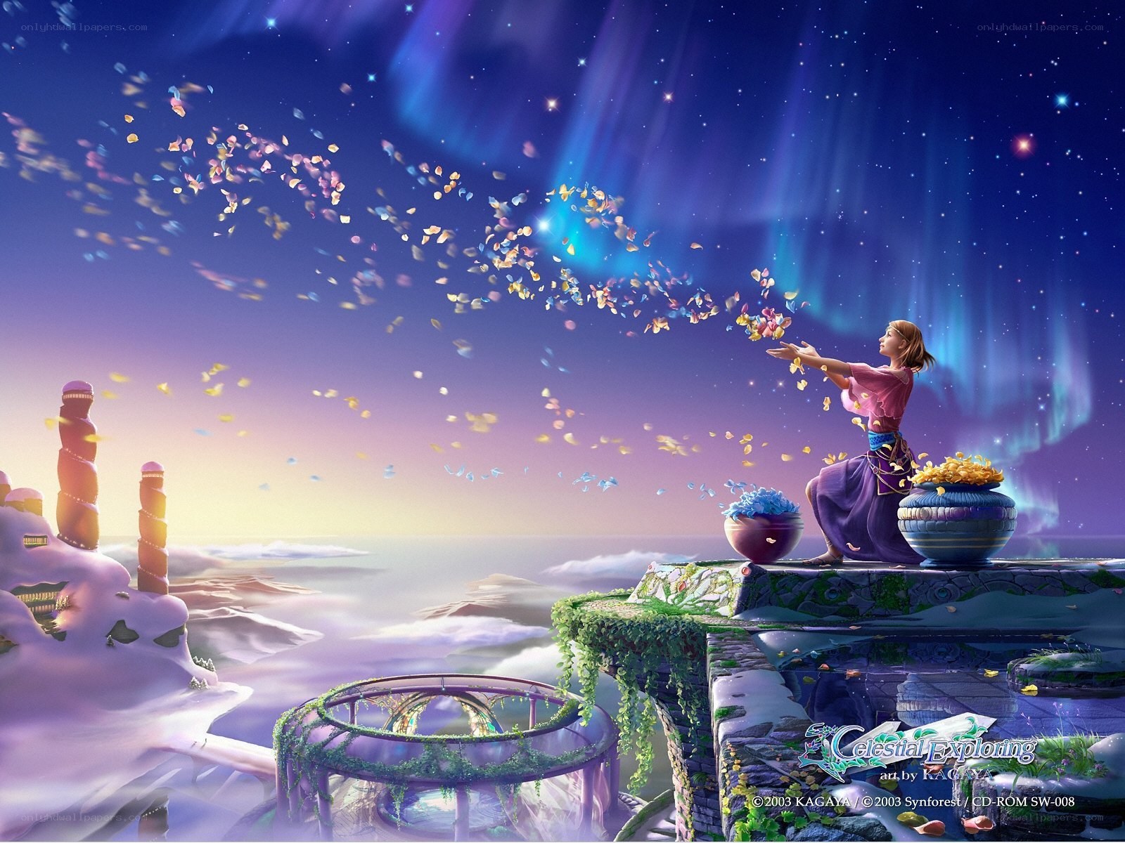 Celestial Exploring artwork