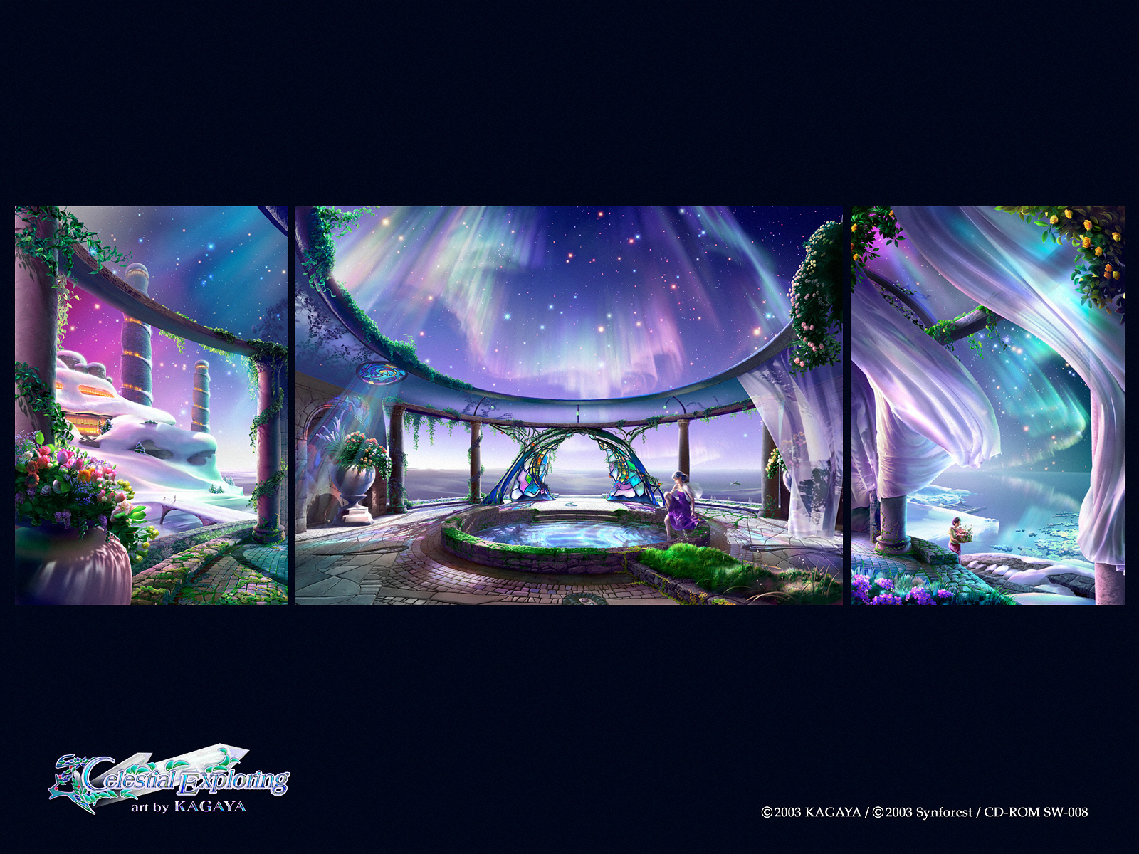 Celestial Exploring artwork