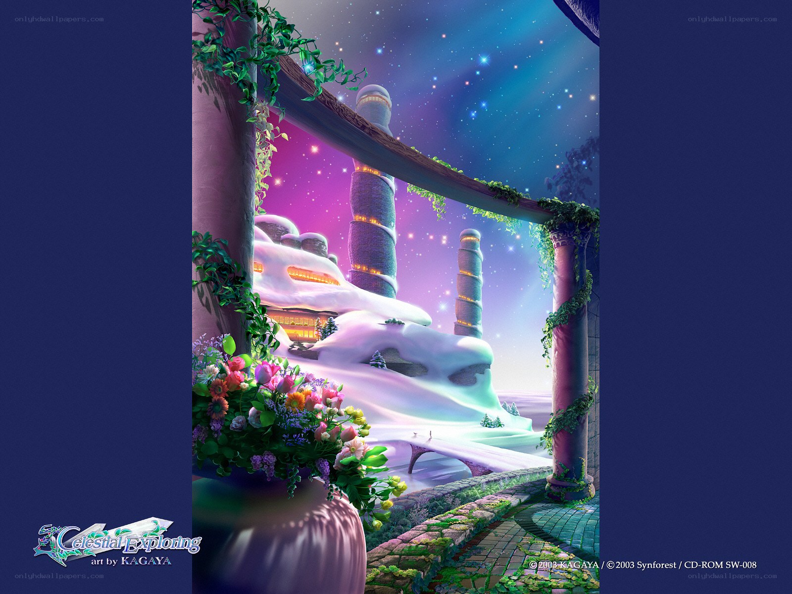Celestial Exploring artwork