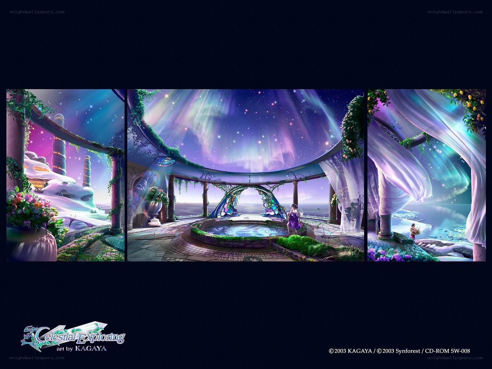 Celestial Exploring artwork