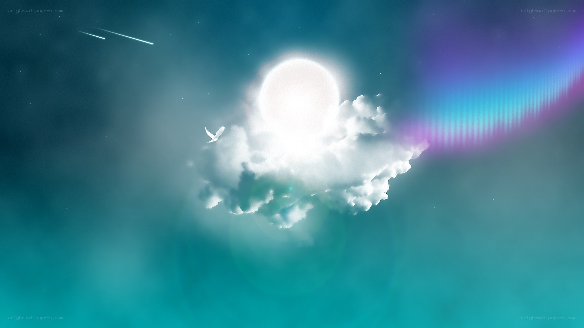 Celestial sky with bird and light