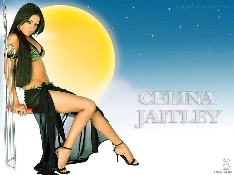 Celina Jaitley in a bikini