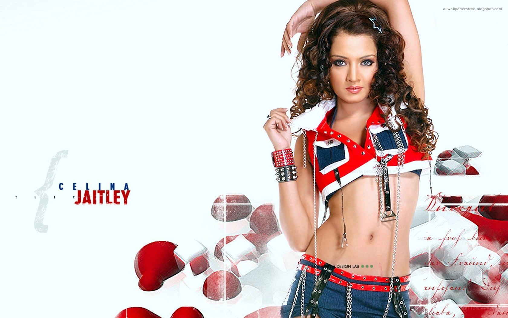 Celina Jaitly promotional image