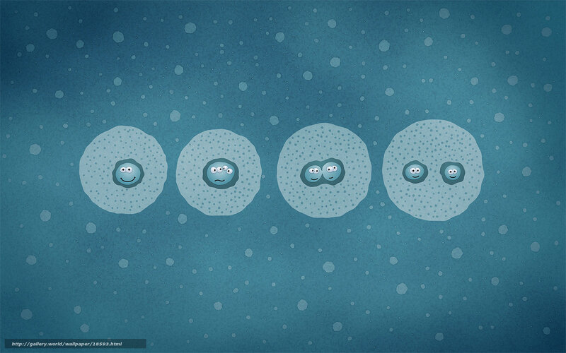 Cell division animation