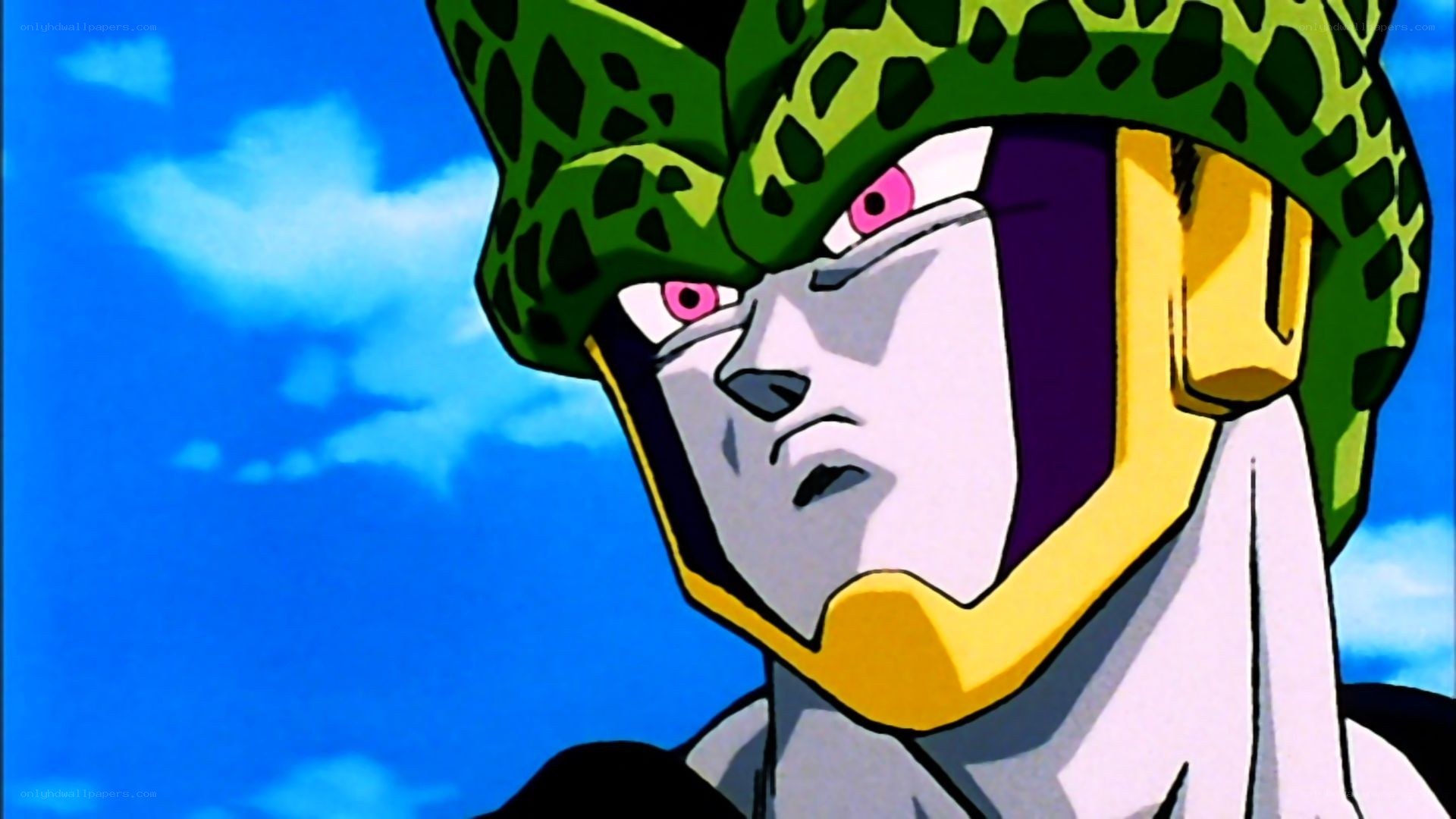 Cell from Dragon Ball Z