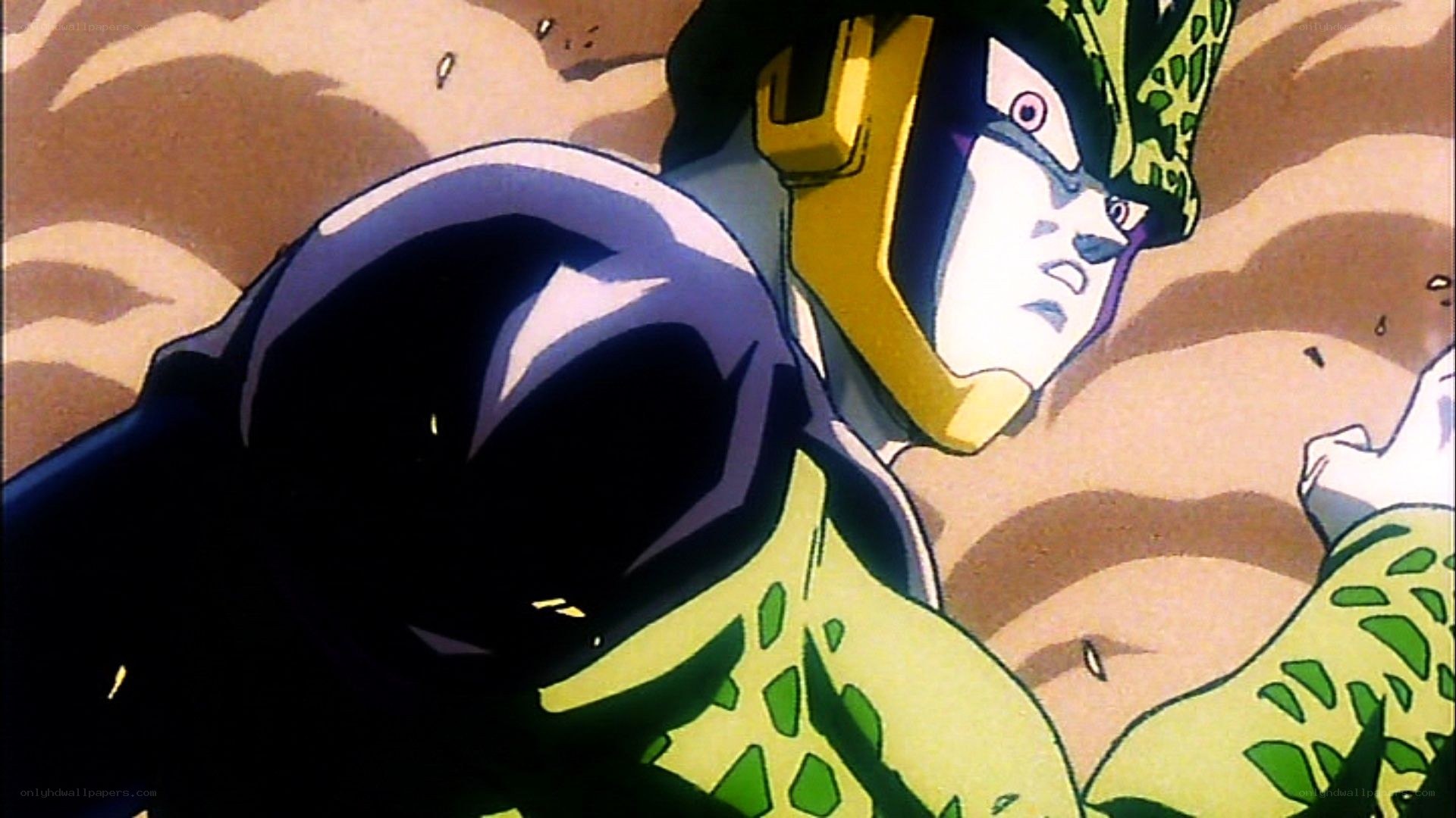 Cell in a battle scene