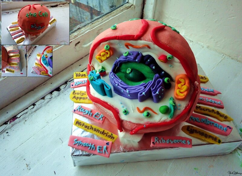 Cell Model Cake — Red