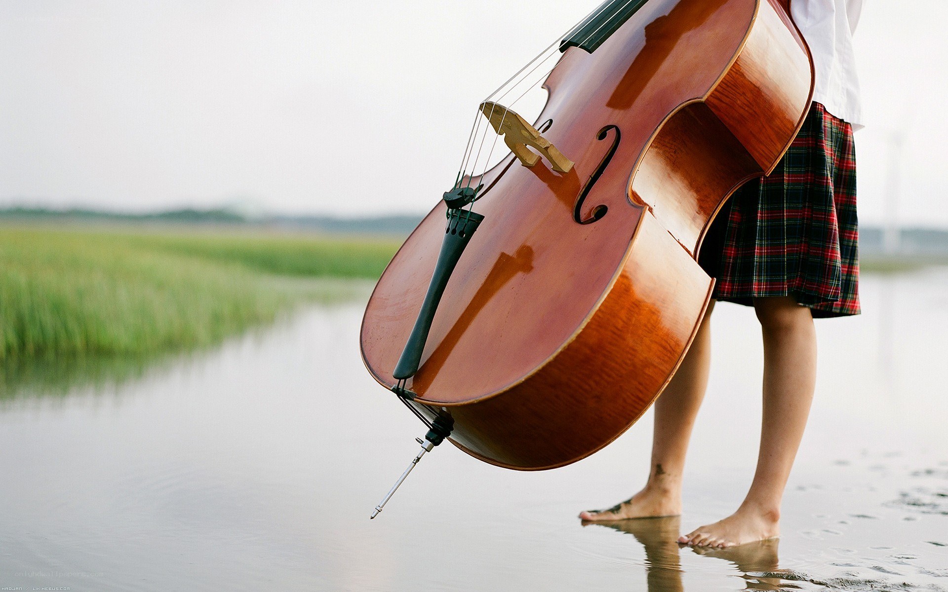 cellist in plaid skirt