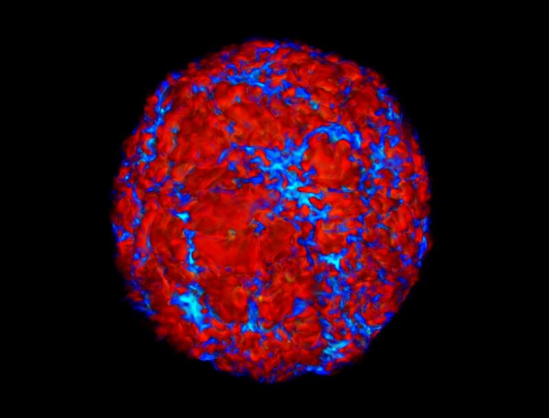Cellular Structure