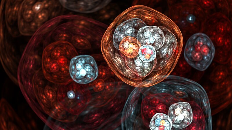 Cellular Structures