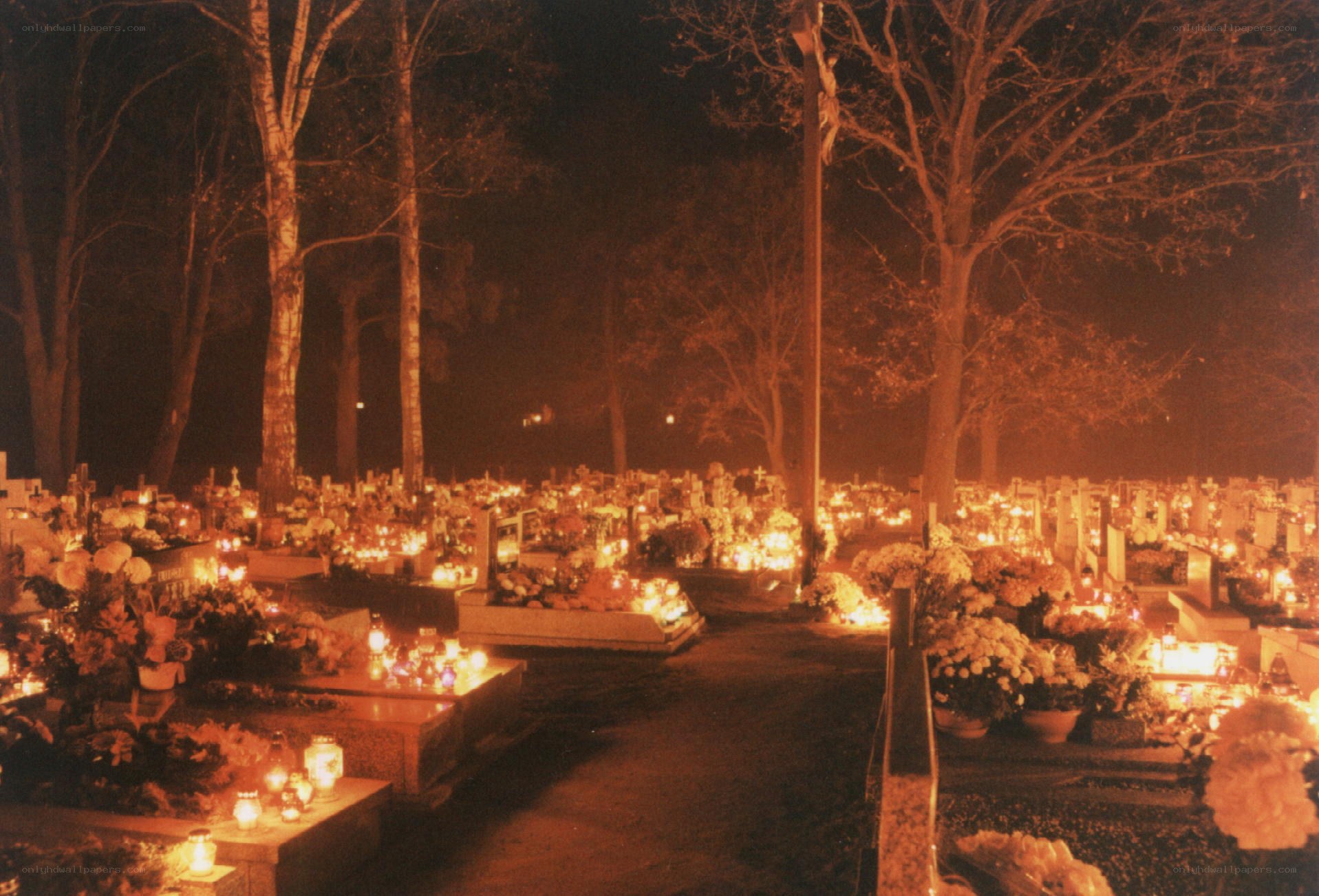 Cemetery at night with candles