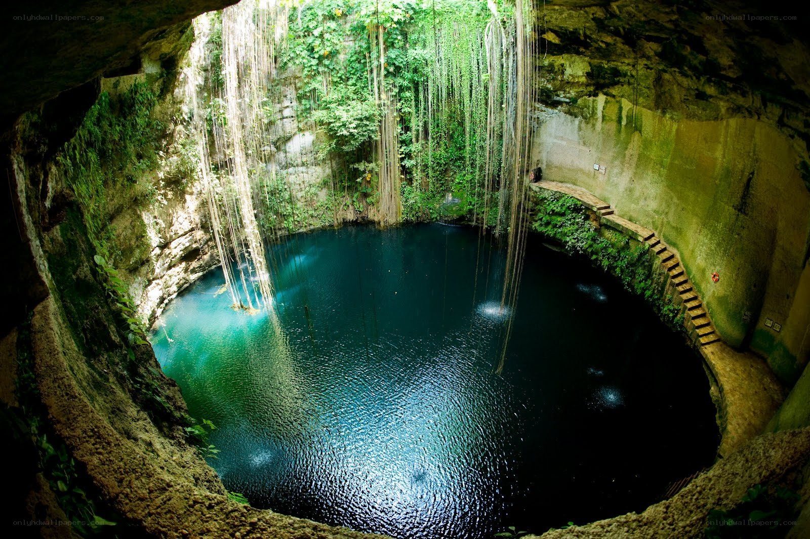 Cenote with hanging vines