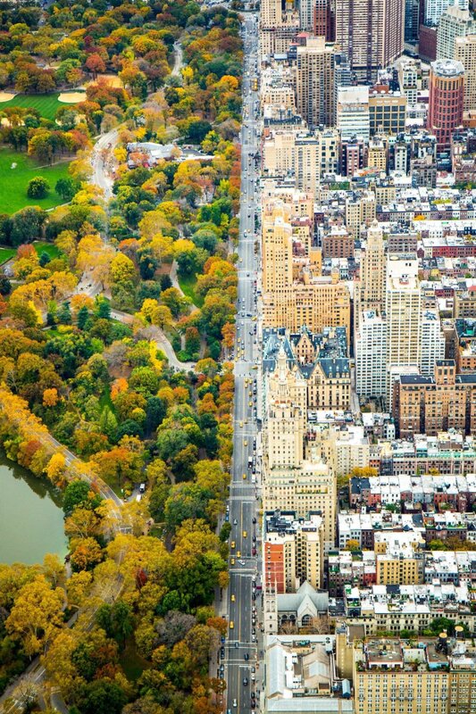 Central Park Aerial View — Green, Serene, Autumn