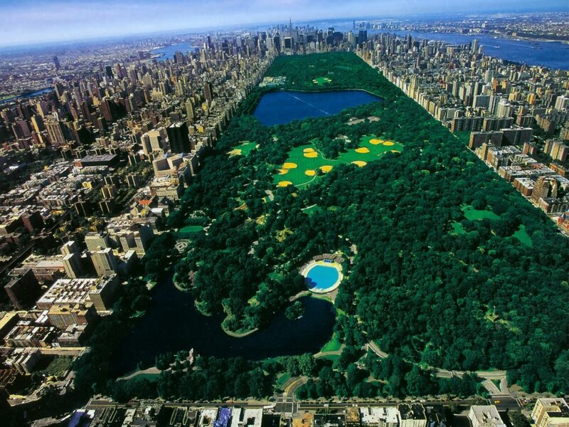 Central Park Aerial View — Green, Serene