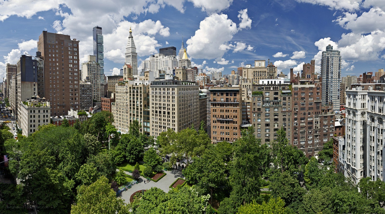 Central Park and NYC skyline