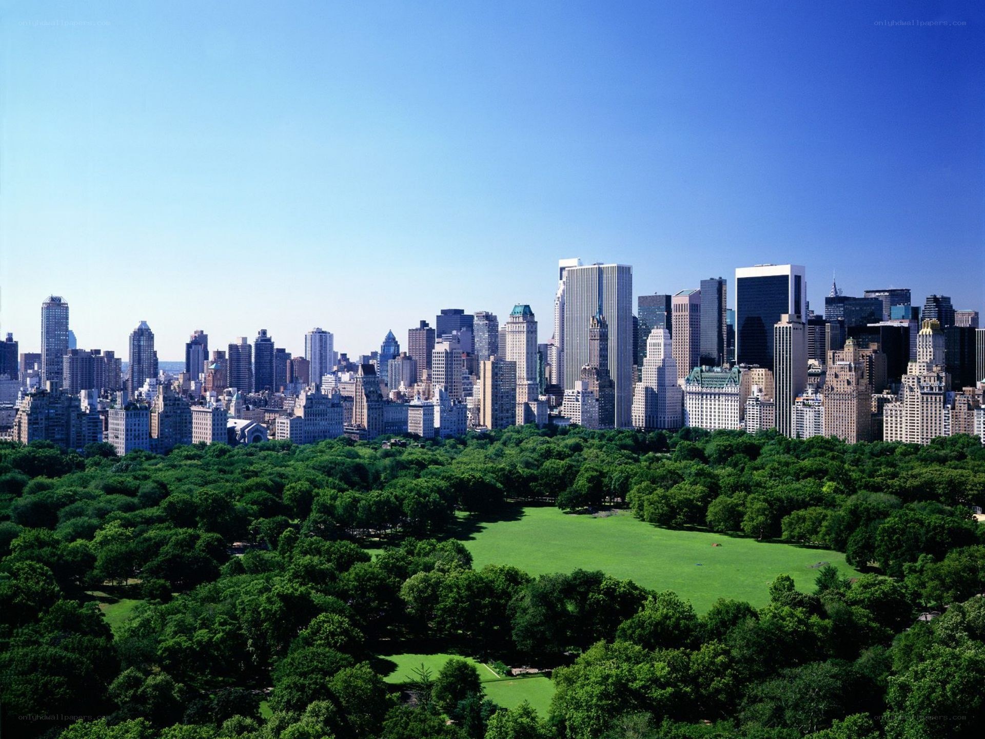 Central Park and NYC skyline