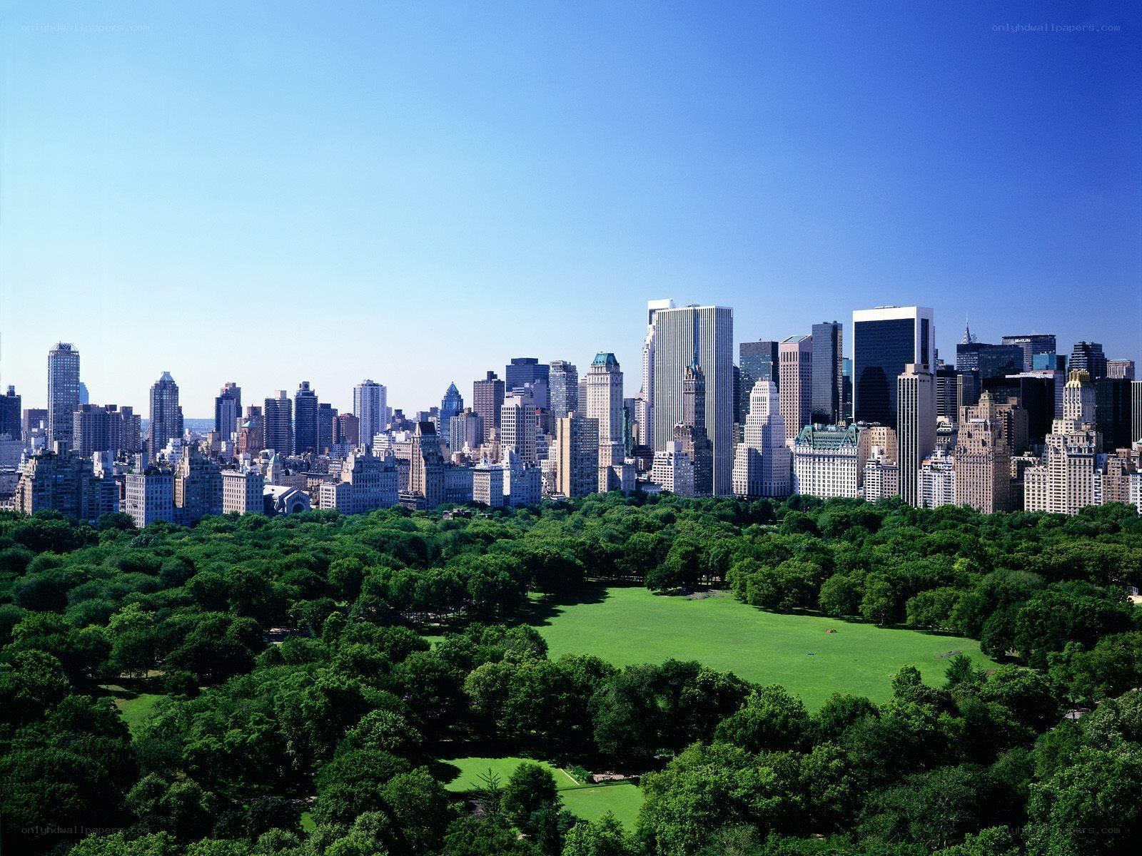 Central Park and NYC skyline