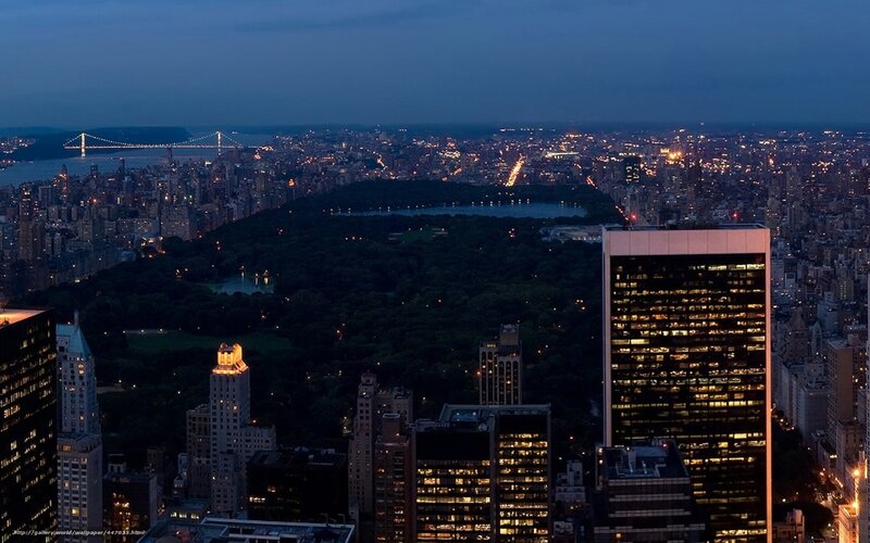 Central Park at Night — Blue, Calm