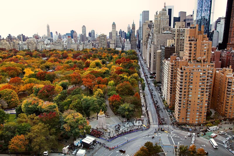 Central Park Autumn Foliage — Orange