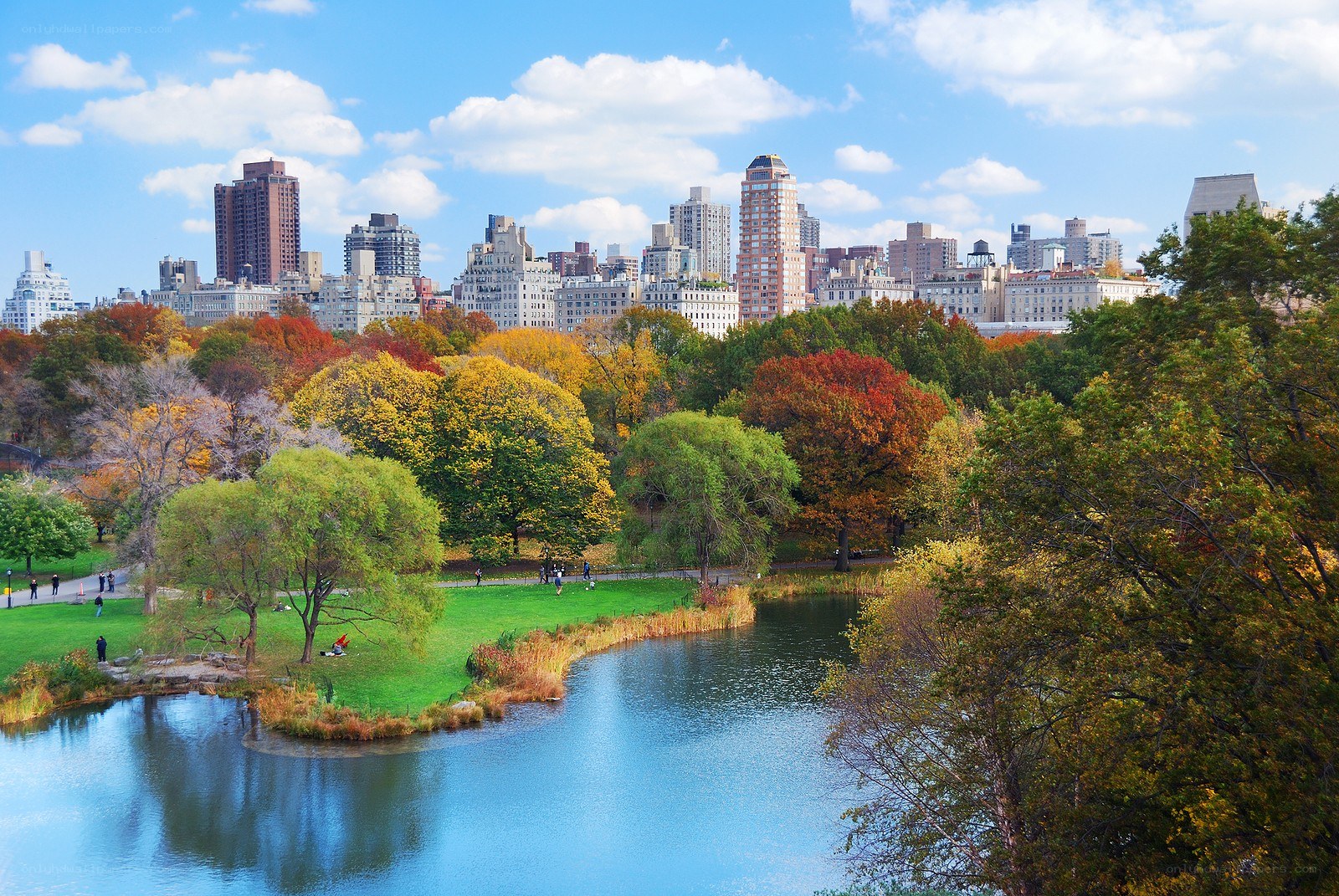 Central Park autumn view