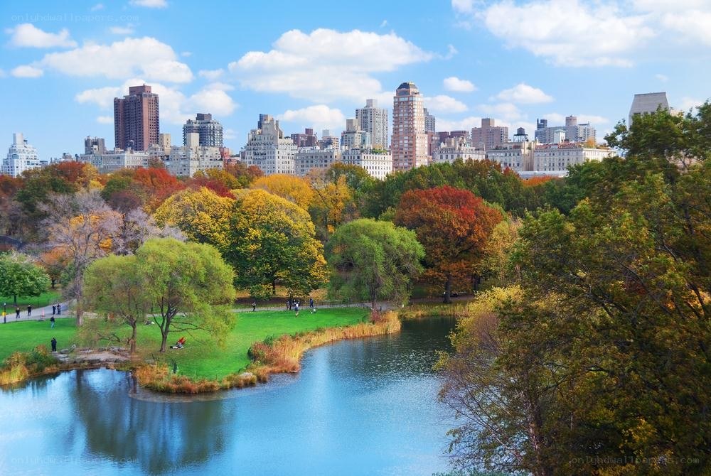 Central Park autumn view